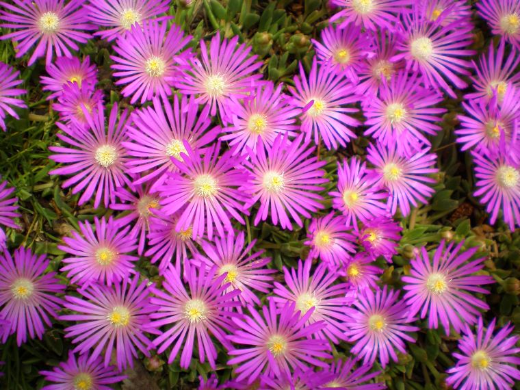 colorado trip 161.JPG