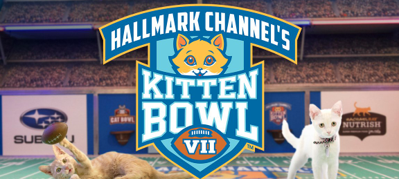 Screen Shot 2020-01-30 at 12.25.16 PM